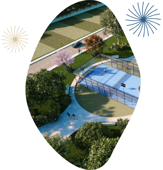 Gran Albatros - Características